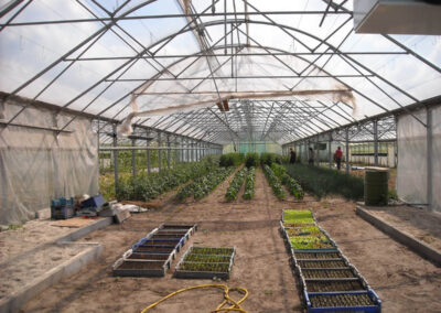 Agriculture Industry Project